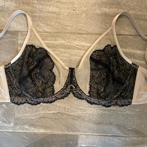 HSIA sheer and lace bra.